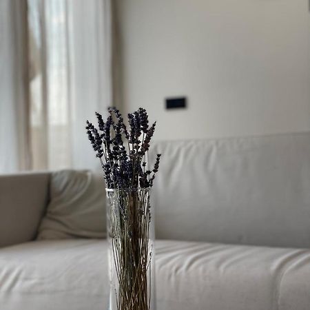 Roemer Apartment Und Zimmer Turkheim Ngoại thất bức ảnh