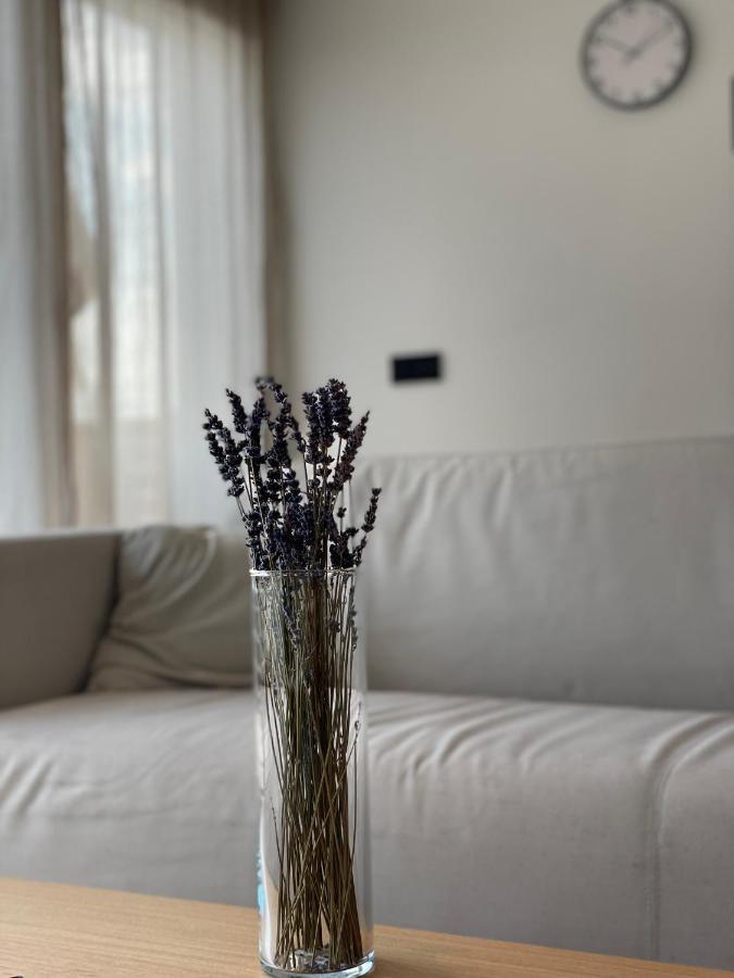 Roemer Apartment Und Zimmer Turkheim Ngoại thất bức ảnh